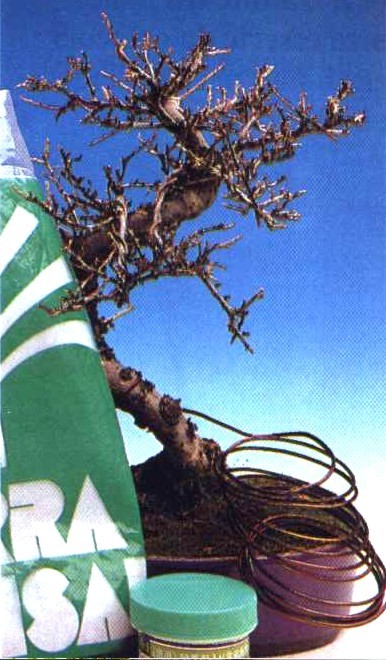 Filo Di Alluminio Rame Per Bonsai - Spessore 2.0mm, 500gr (58m), Modellazione Piante